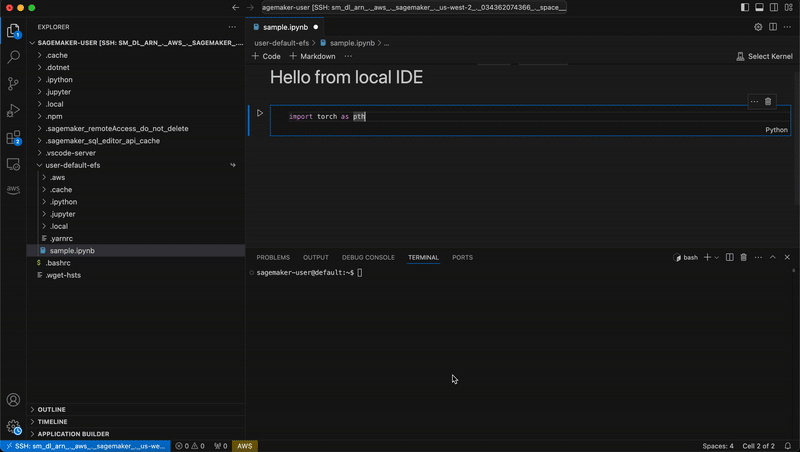 SageMaker Studio remote connection